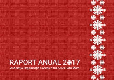 Raport Anual 2017